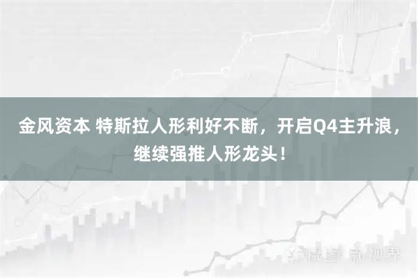 金风资本 特斯拉人形利好不断,开启Q4主升浪,继续强推人形龙头!