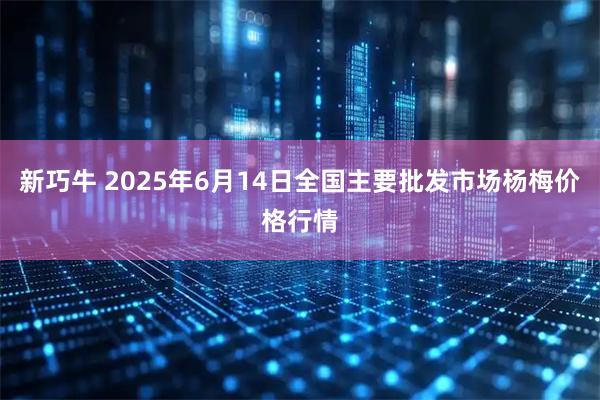 新巧牛 2025年6月14日全国主要批发市场杨梅价格行情